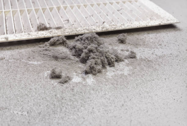 Best Affordable Duct Cleaning Services  in Halsey, OR