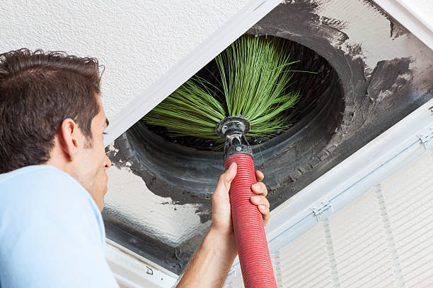 Best Local Air Duct Cleaning Services  in Halsey, OR