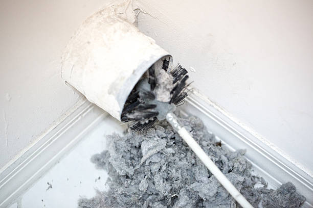 Best Professional Duct Cleaning Services  in Halsey, OR