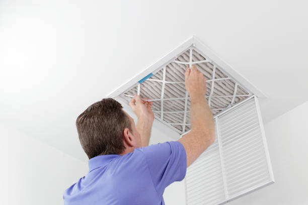 Best Home Air Vent Cleaning  in Halsey, OR